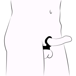 CalExotics Tri-Snap Scrotum Support Verstelbare Cockring -Sexy lingerie Verkoop 15612 calexotics tri snap scrotum support cock ring 10 illustration q100