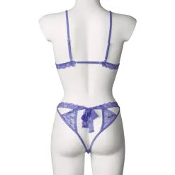 Sinful NORTIE Heather Purple BH En Kruisloos Slipje Set 14 Sinful NORTIE Heather Purple BH En Kruisloos Slipje Set -Sexy lingerie Verkoop 26926 nortie heather bh og bundlos trusse saet very peri 06 product q100 1