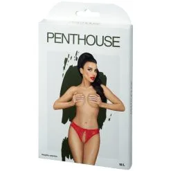 Eis GmbH Penthouse Naughty Valentine Red Kruisloos Slipje 7 Eis GmbH Penthouse Naughty Valentine Red Kruisloos Slipje -Sexy lingerie Verkoop 28017 penthouse naughty valentine crotchless red panty 90 pack q100