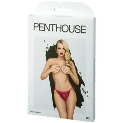 EIS GmbH (Lingeri) Penthouse Too Hot To Be Real Bordeaux Slipje 7 EIS GmbH (Lingeri) Penthouse Too Hot To Be Real Bordeaux Slipje -Sexy lingerie Verkoop 28025 penthouse too hot to be real bordeaux panty 90 pack q100